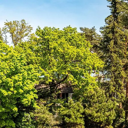 Apartment Traumsonne Timmendorfer Strand